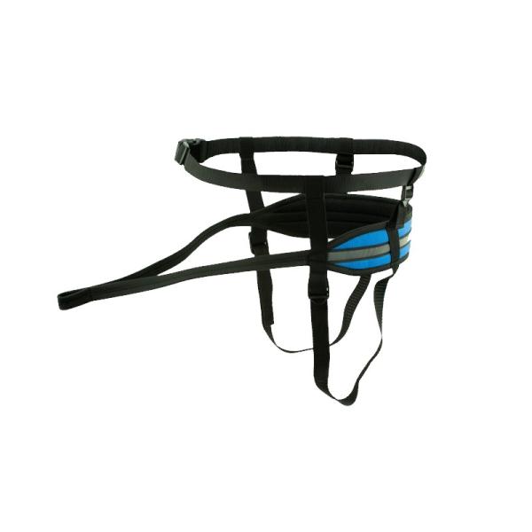 Canicross Jogging Laufgurt Sali Discovery Blau S2